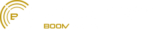 BM_Pila_logo_white