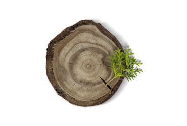 Broušení pásů a řetězů