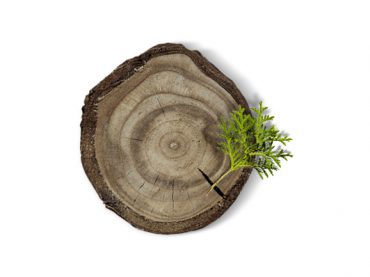 Broušení pásů a řetězů